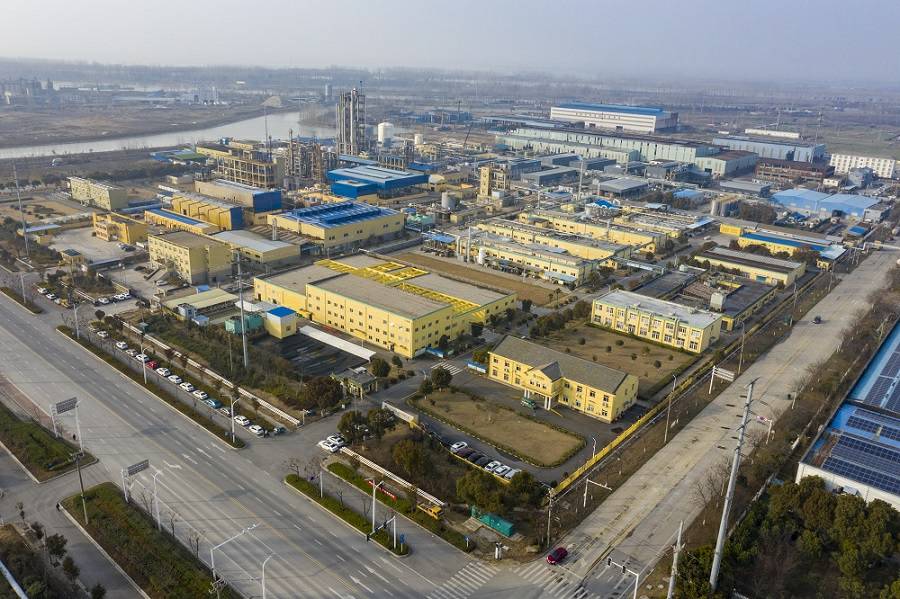 南京凌峰网络应用开发有限公司药业首次公开发行股票并上市辅导备案信息公示